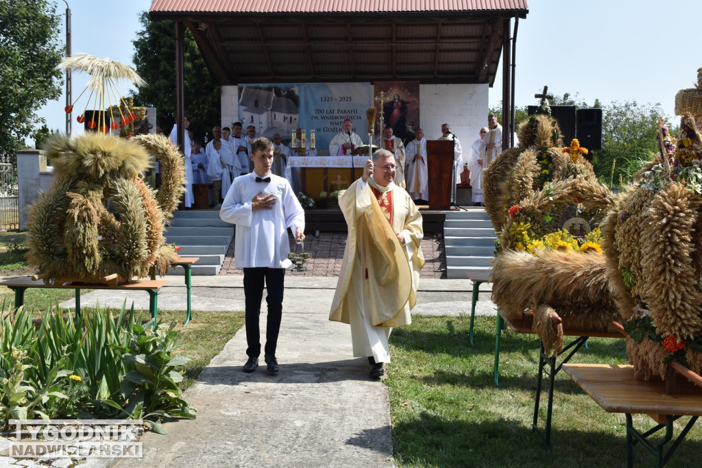 Jubileusz parafii w Goźlicach