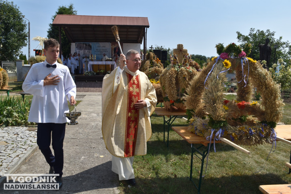 Jubileusz parafii w Goźlicach