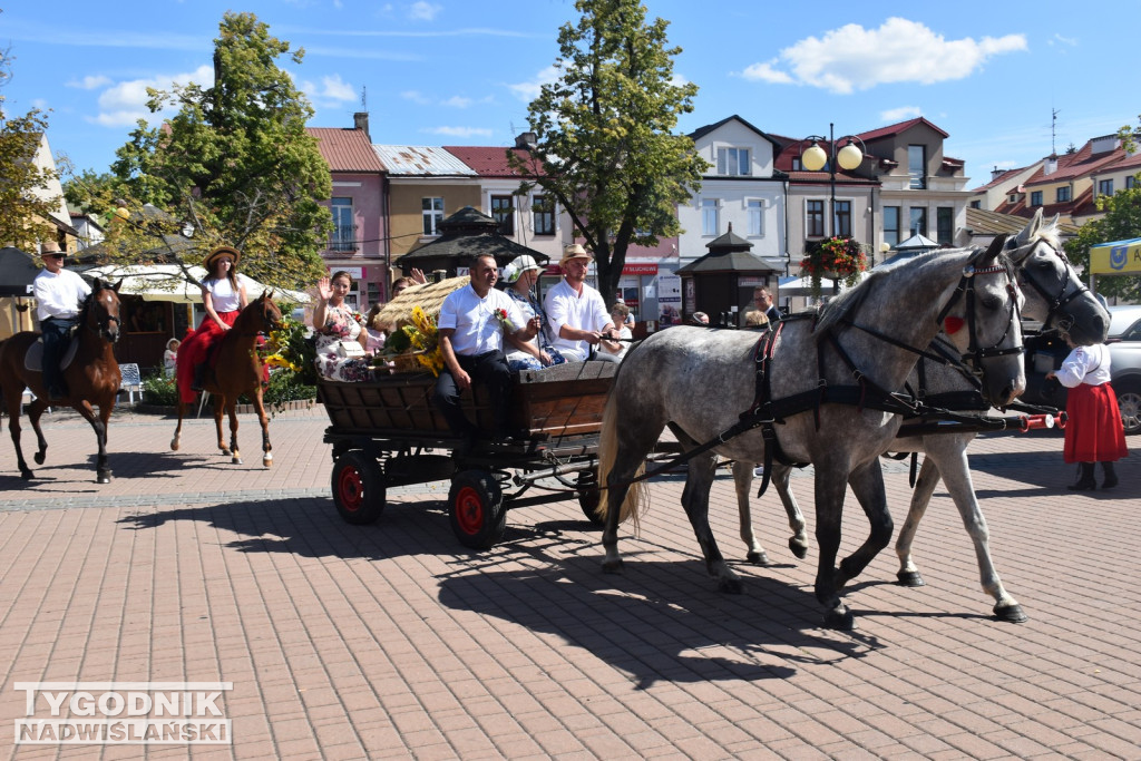 Święto Plonów 2025 w Tarnobrzegu