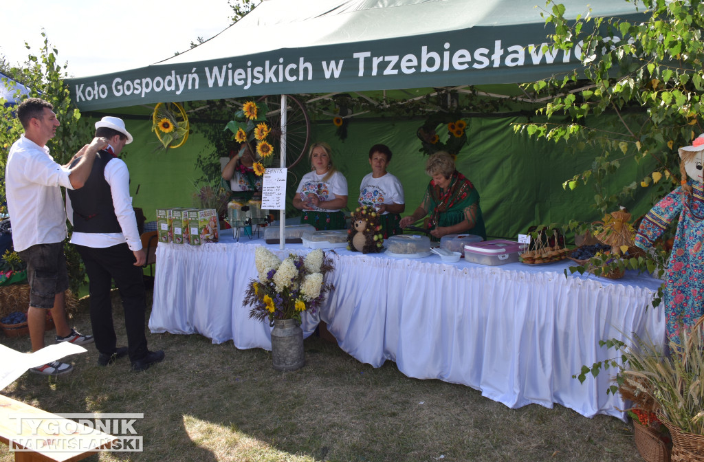 Dożynki gminne w Łoniowie