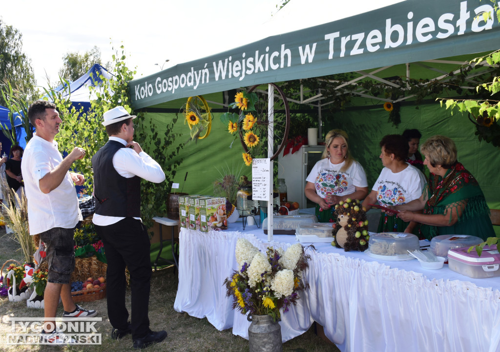Dożynki gminne w Łoniowie