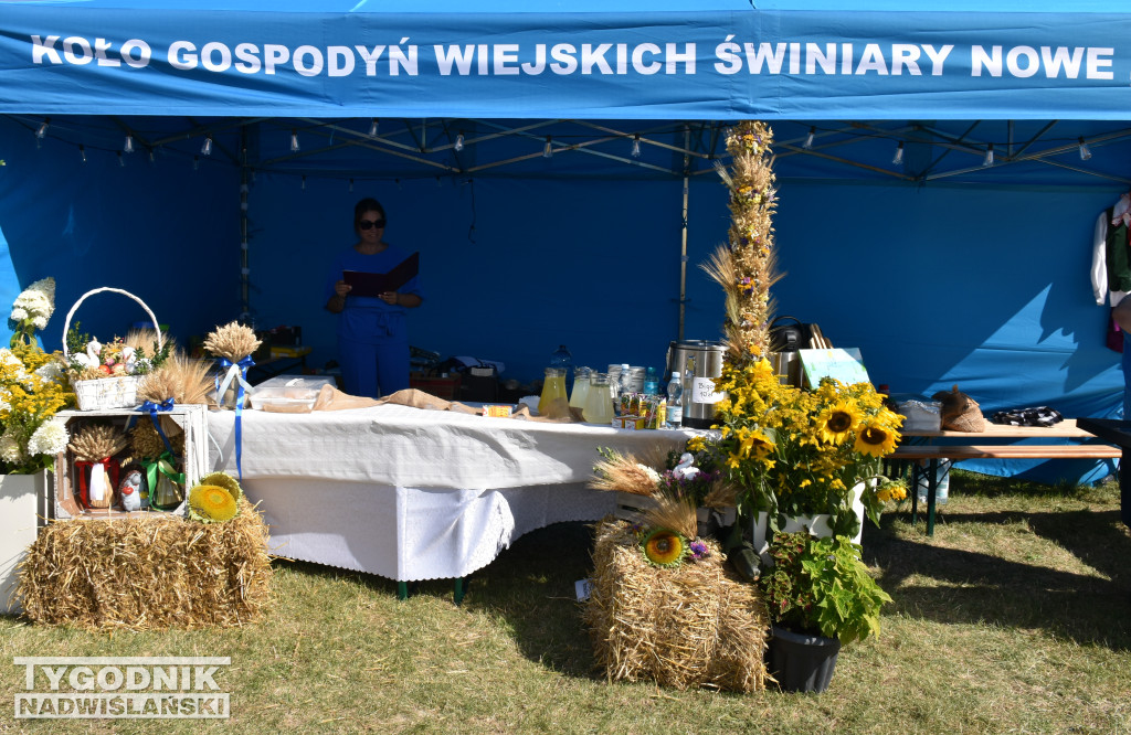 Dożynki gminne w Łoniowie