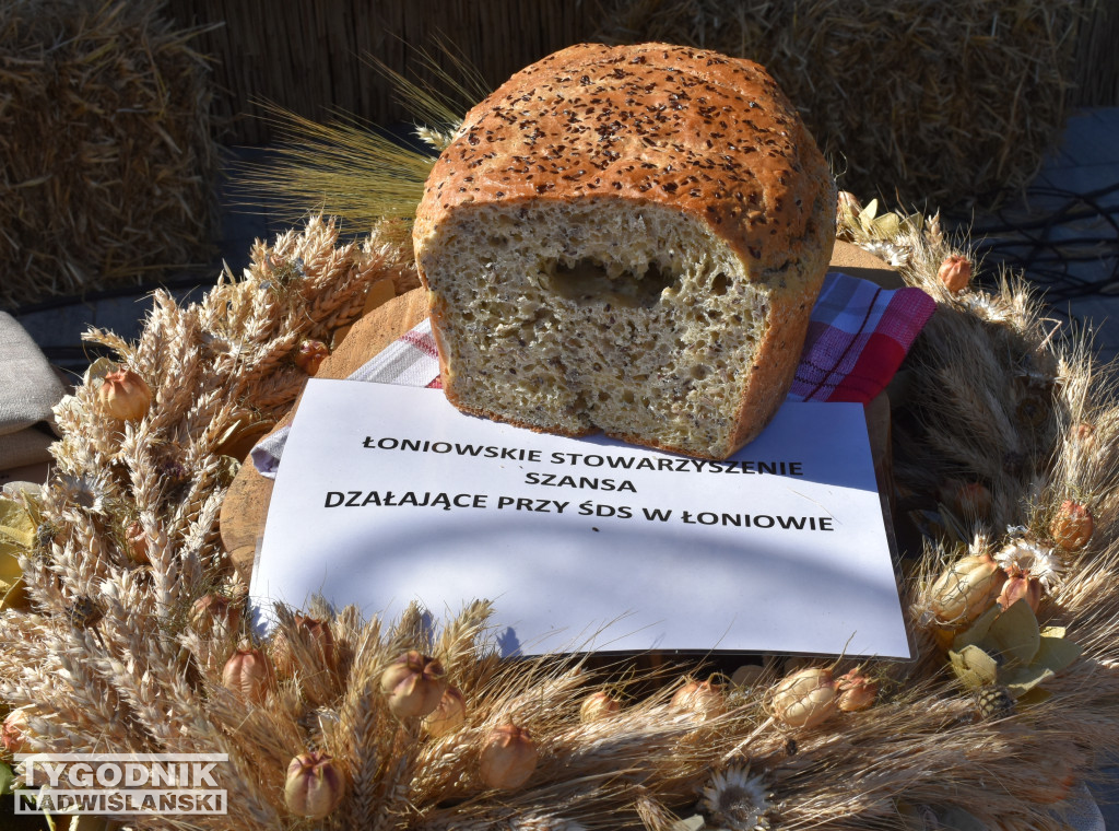 Dożynki gminne w Łoniowie