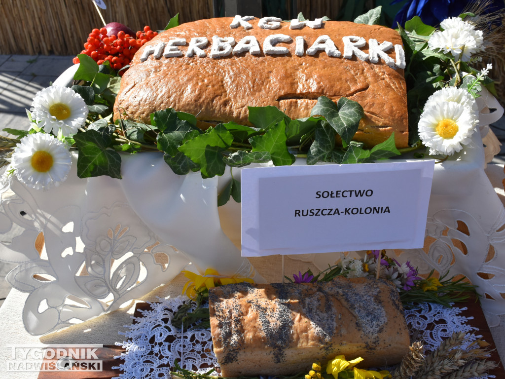 Dożynki gminne w Łoniowie