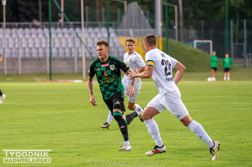 Stal Stalowa Wola - Unia Skierniewice