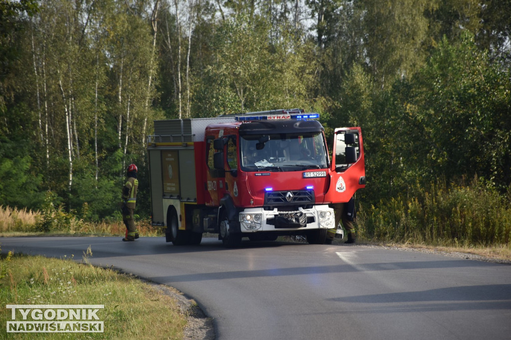 Wypadek w Stalach (29.08.25 r.)