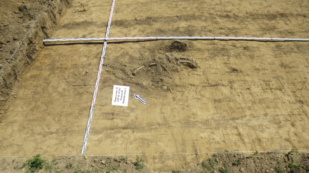 Odkrycia archeologiczne w Słupczy