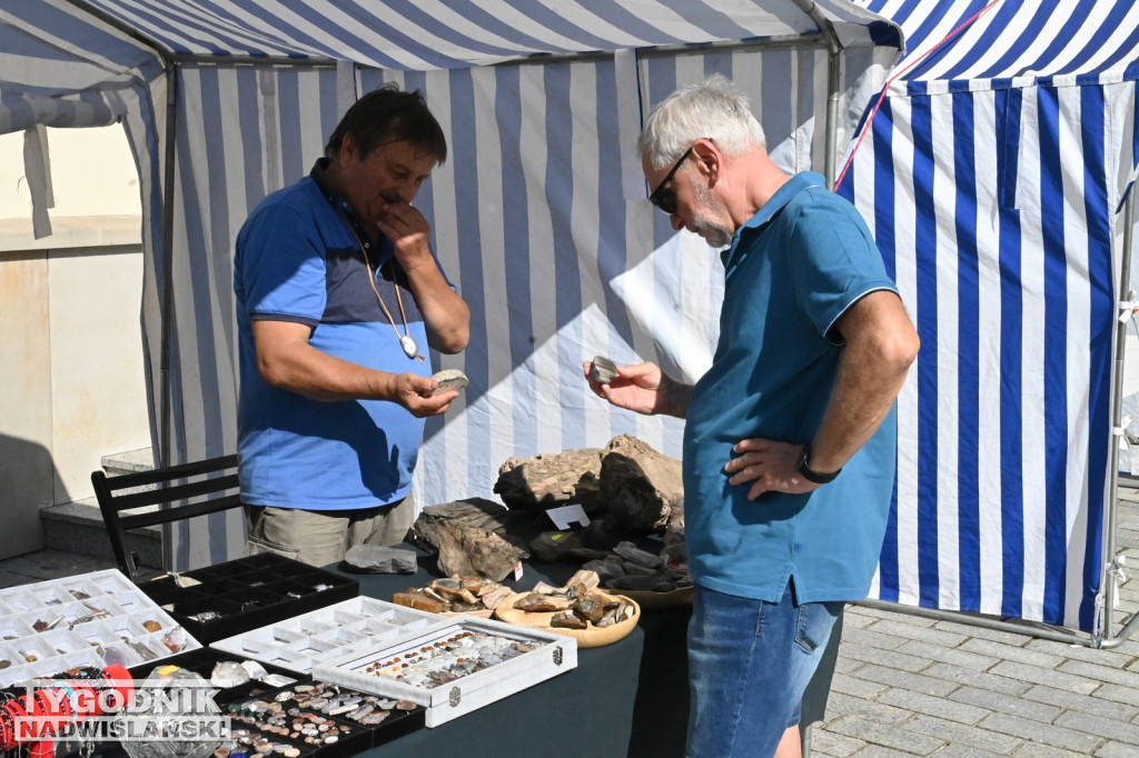 Giełda minerałów i skamieniałości w Tarnobrzegu