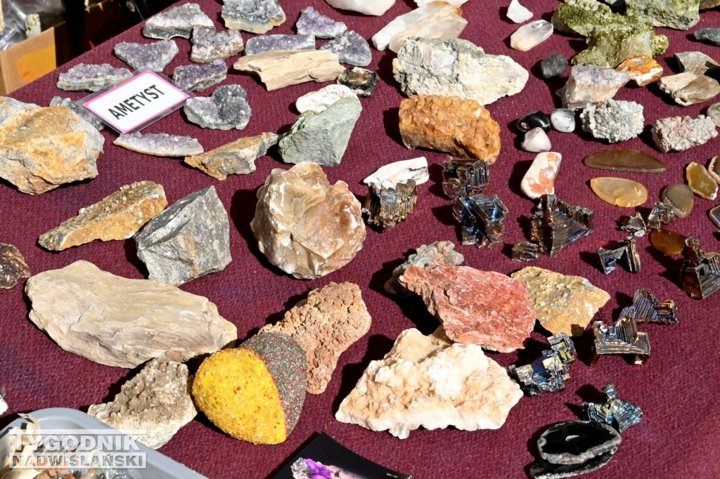 Giełda minerałów i skamieniałości w Tarnobrzegu