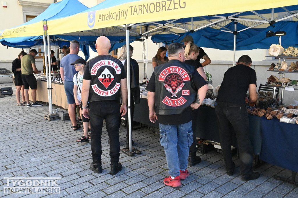Giełda minerałów i skamieniałości w Tarnobrzegu