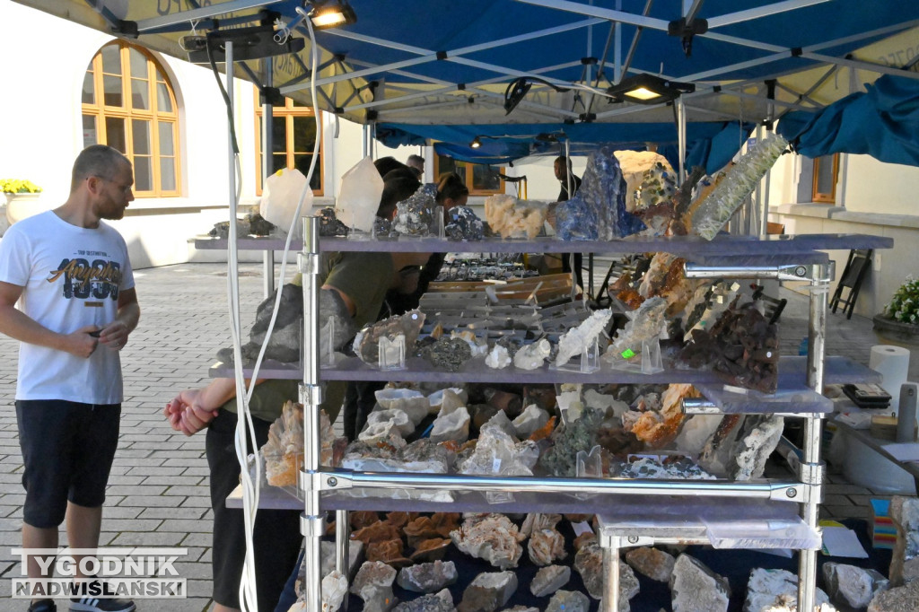 Giełda minerałów i skamieniałości w Tarnobrzegu