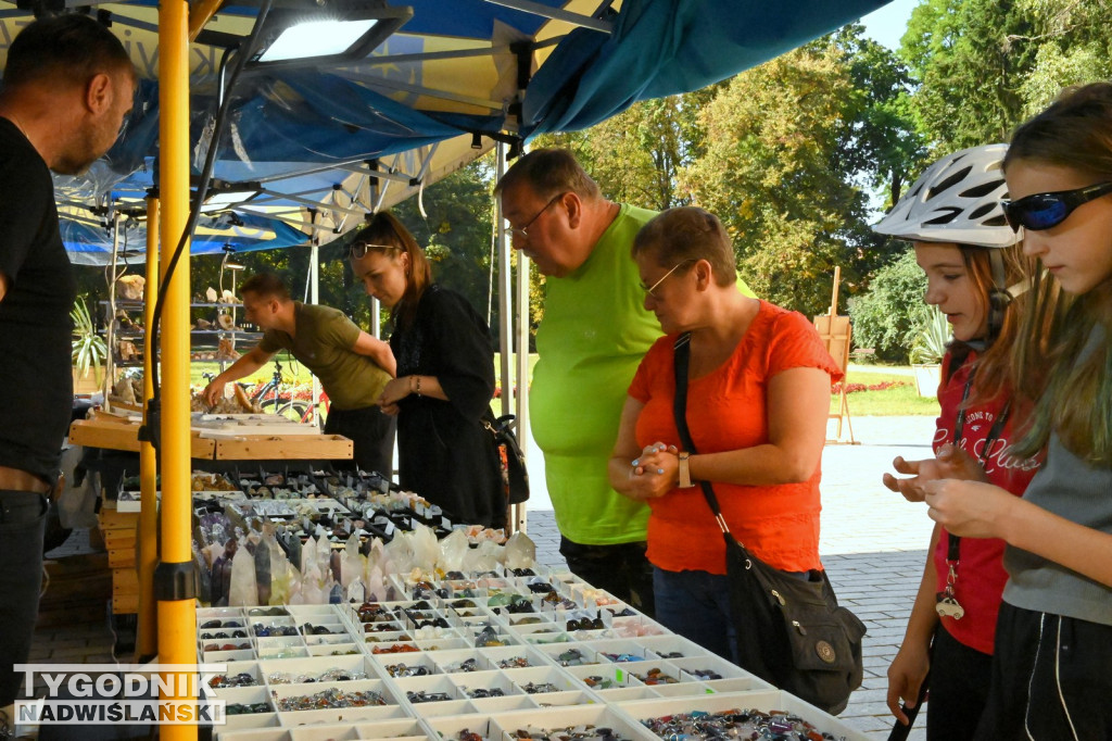 Giełda minerałów i skamieniałości w Tarnobrzegu