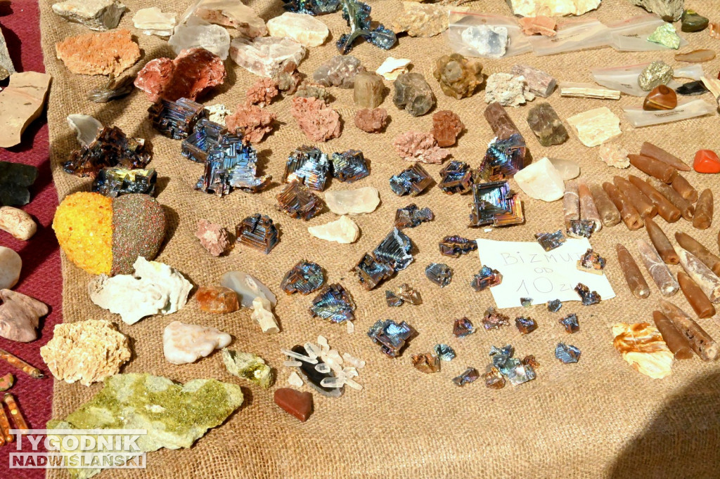 Giełda minerałów i skamieniałości w Tarnobrzegu