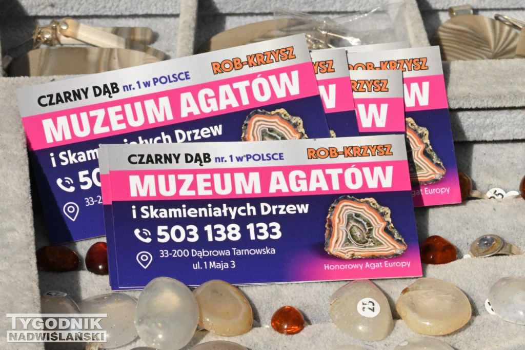 Giełda minerałów i skamieniałości w Tarnobrzegu
