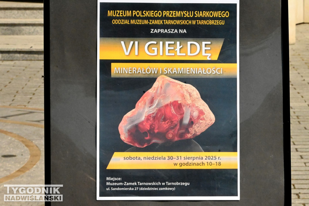 Giełda minerałów i skamieniałości w Tarnobrzegu