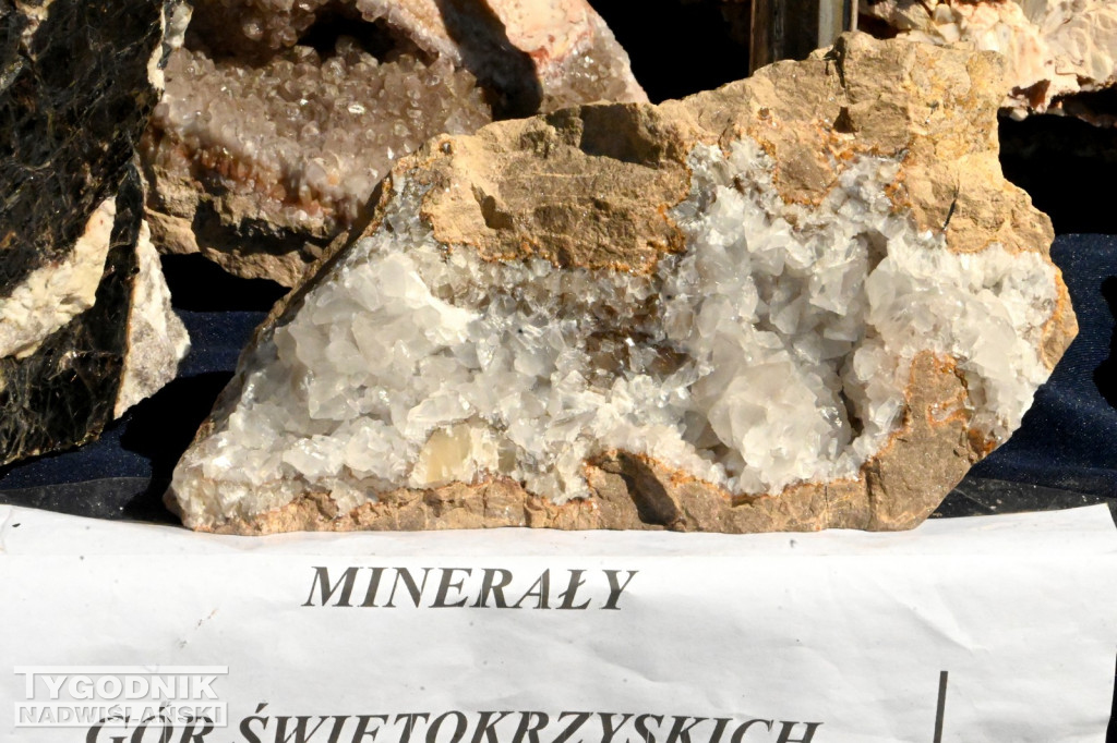 Giełda minerałów i skamieniałości w Tarnobrzegu