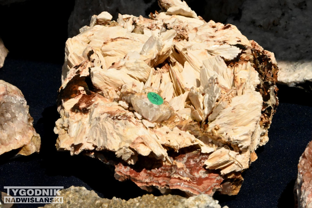 Giełda minerałów i skamieniałości w Tarnobrzegu
