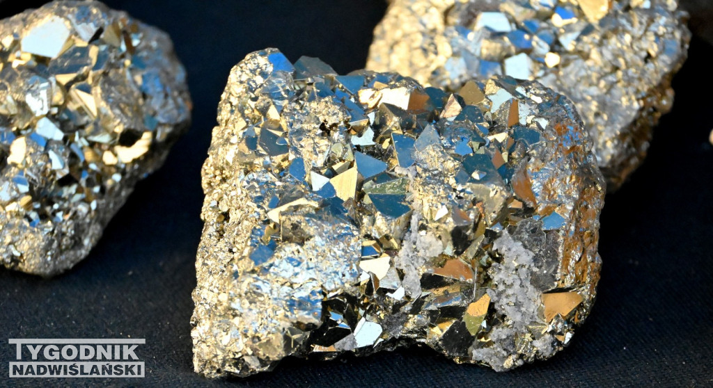 Giełda minerałów i skamieniałości w Tarnobrzegu