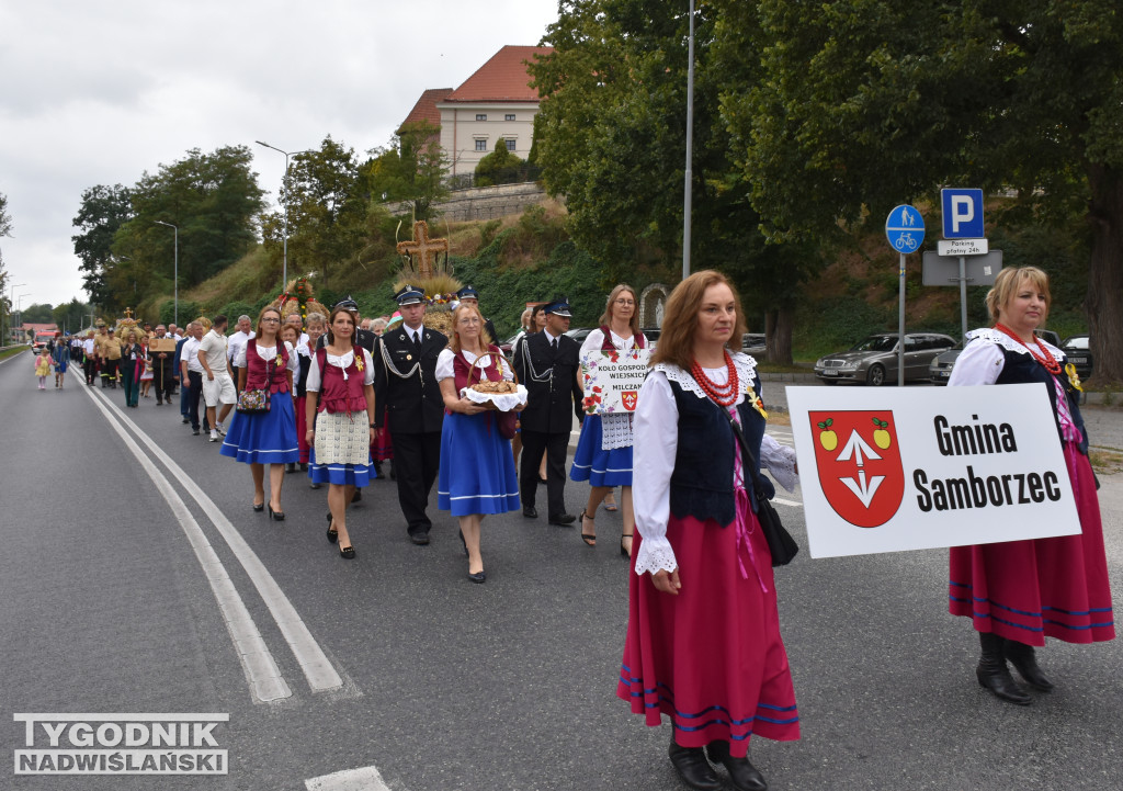 Dożynki powiatowe w Sandomierzu