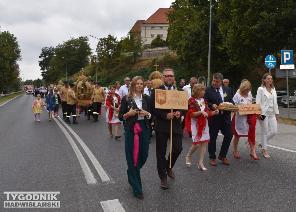 Dożynki powiatowe w Sandomierzu