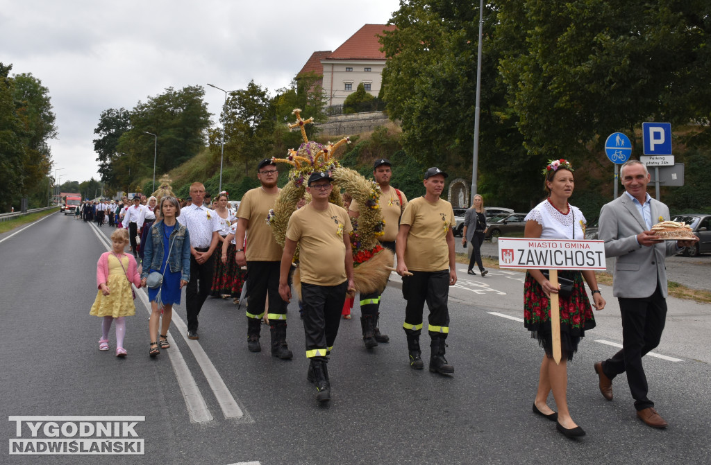 Dożynki powiatowe w Sandomierzu