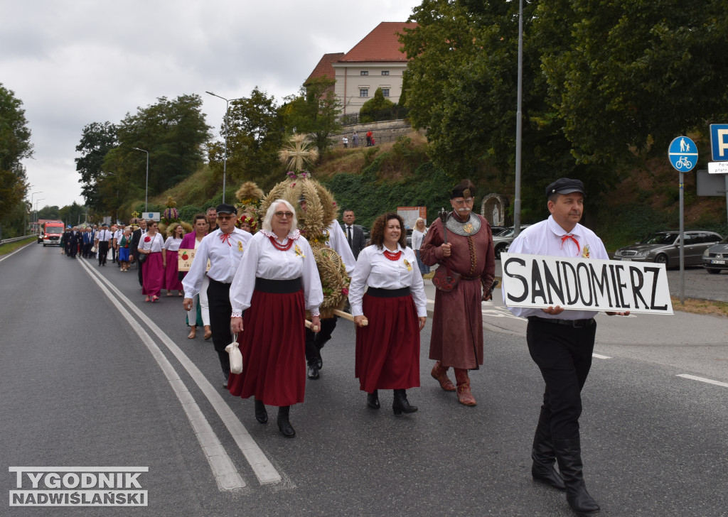 Dożynki powiatowe w Sandomierzu