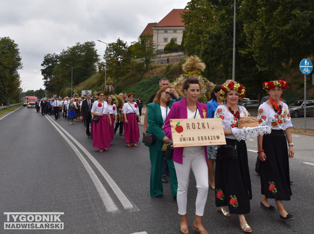 Dożynki powiatowe w Sandomierzu