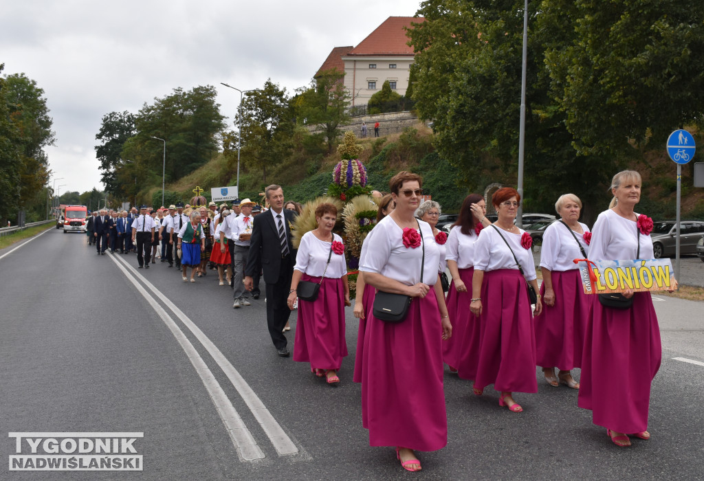 Dożynki powiatowe w Sandomierzu