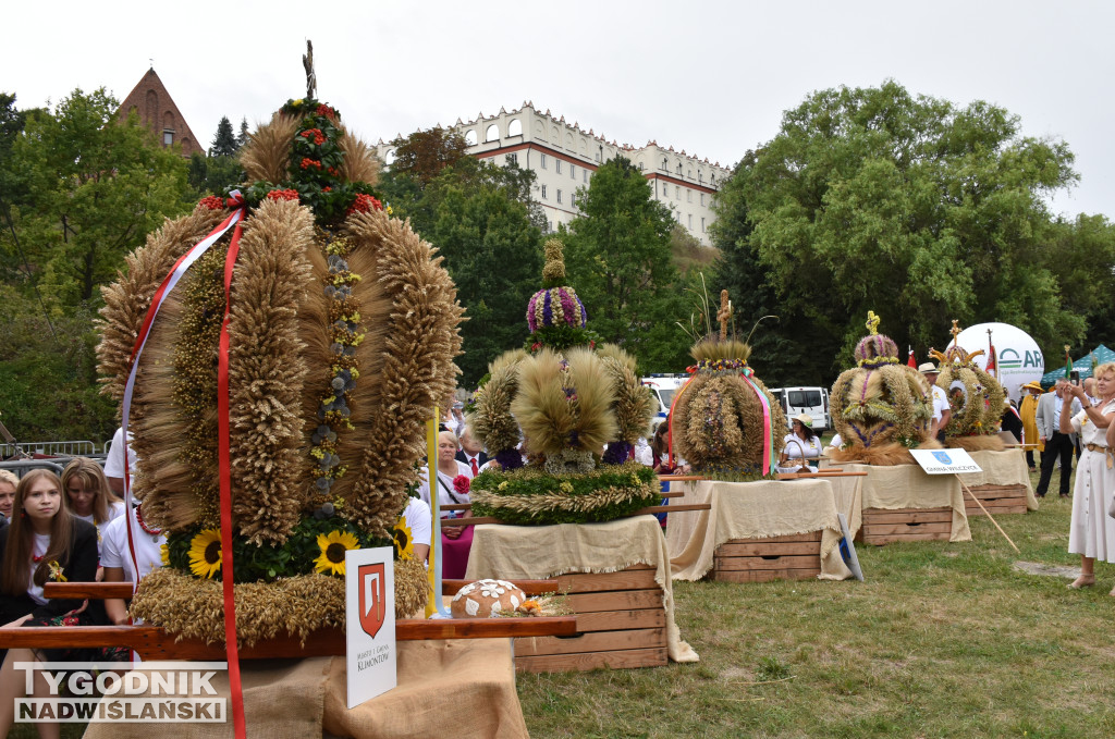 Dożynki powiatowe w Sandomierzu