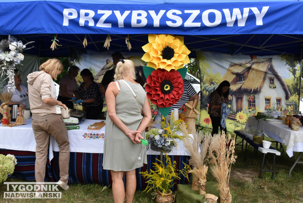 Dożynki powiatowe w Sandomierzu