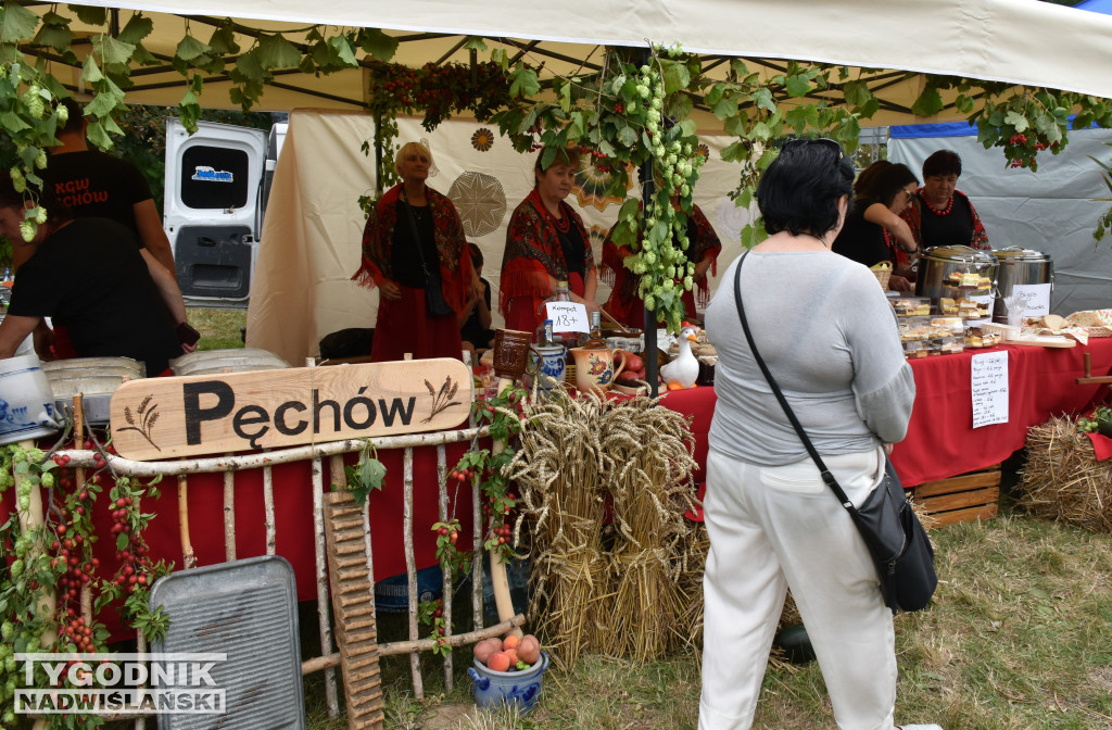 Dożynki powiatowe w Sandomierzu