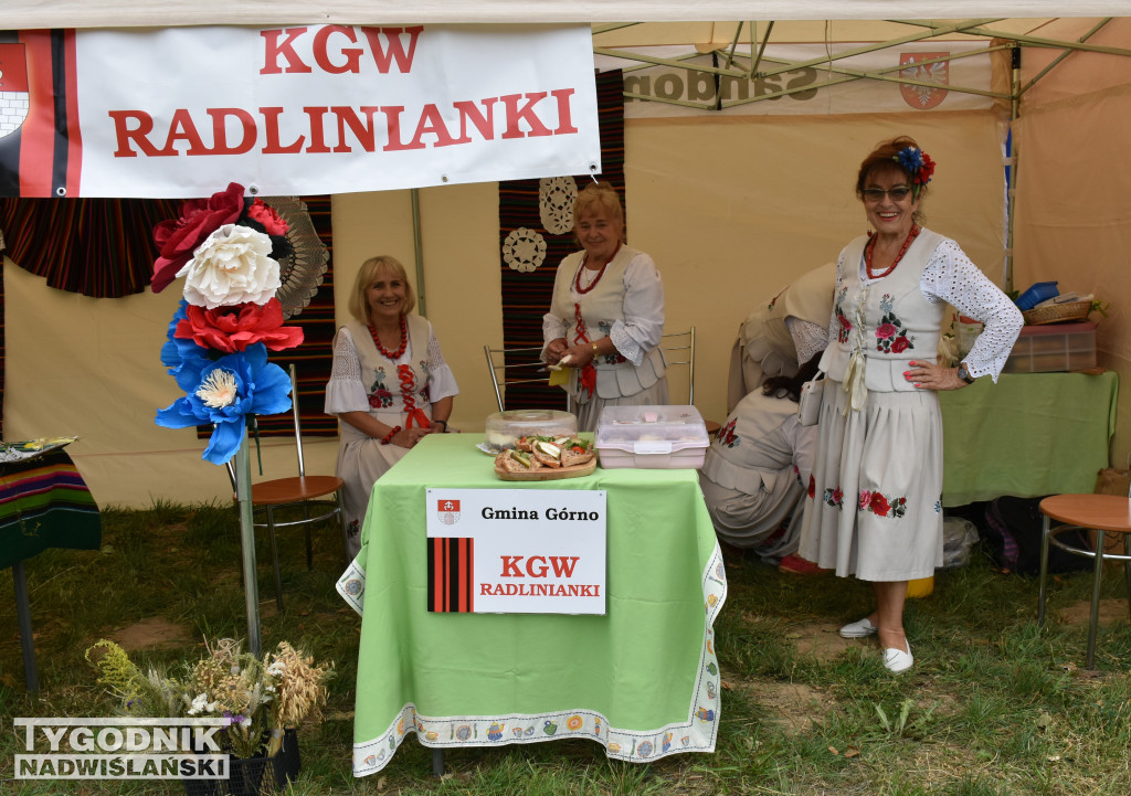 Dożynki powiatowe w Sandomierzu