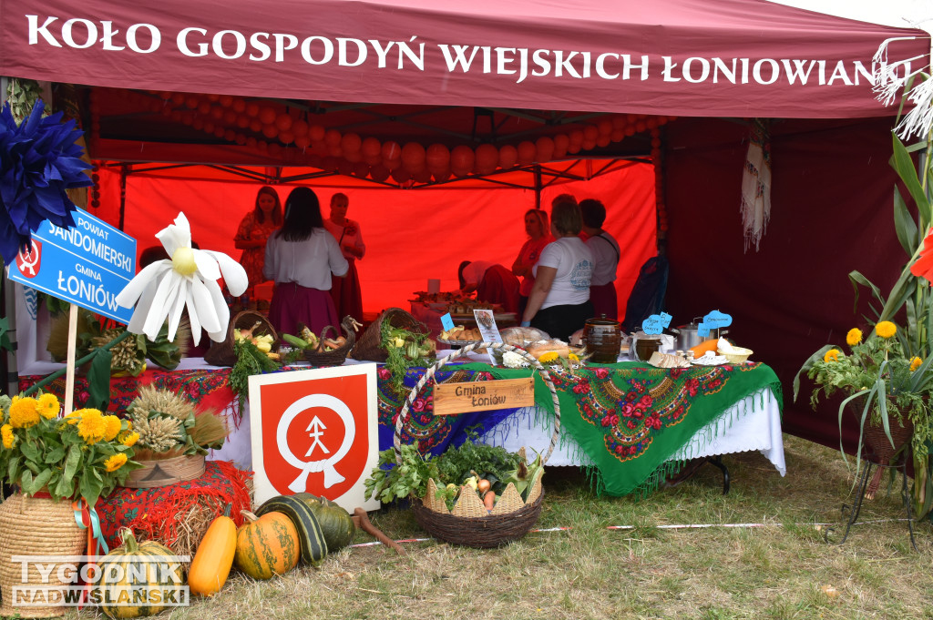 Dożynki powiatowe w Sandomierzu