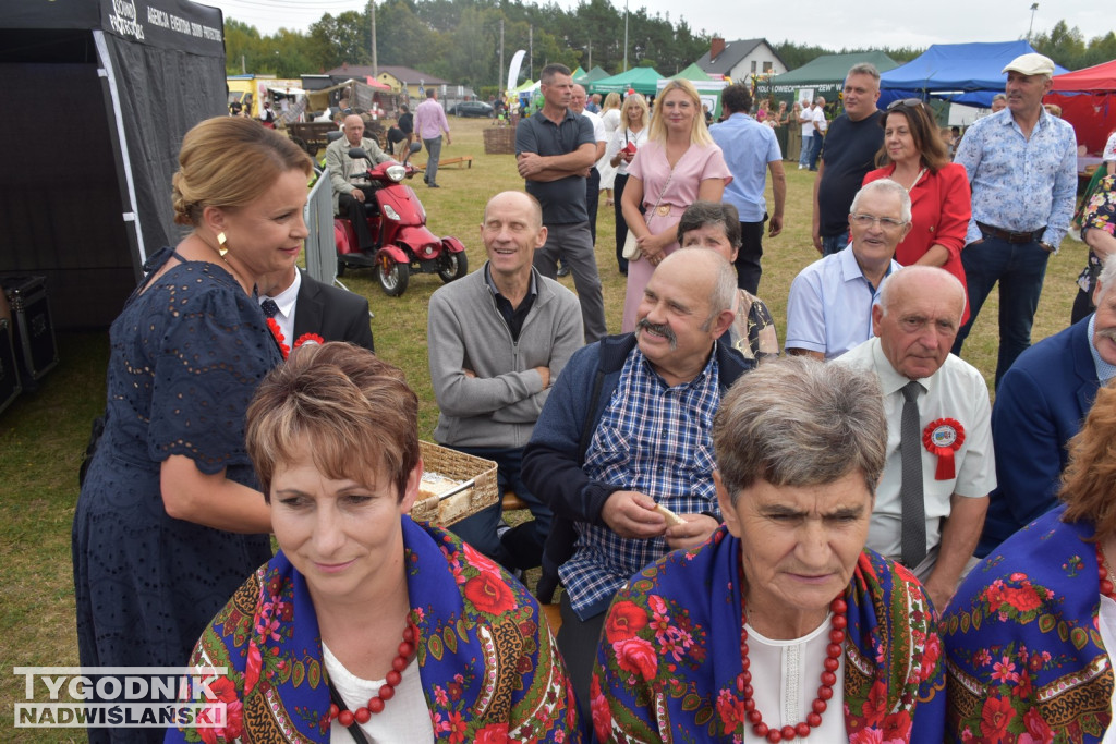 Dożynki powiatowe w Osieku