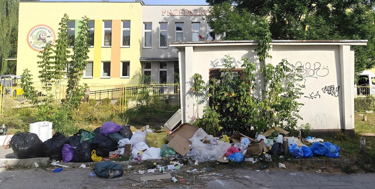 Śmietnisko przy przedszkolu w Tarnobrzegu