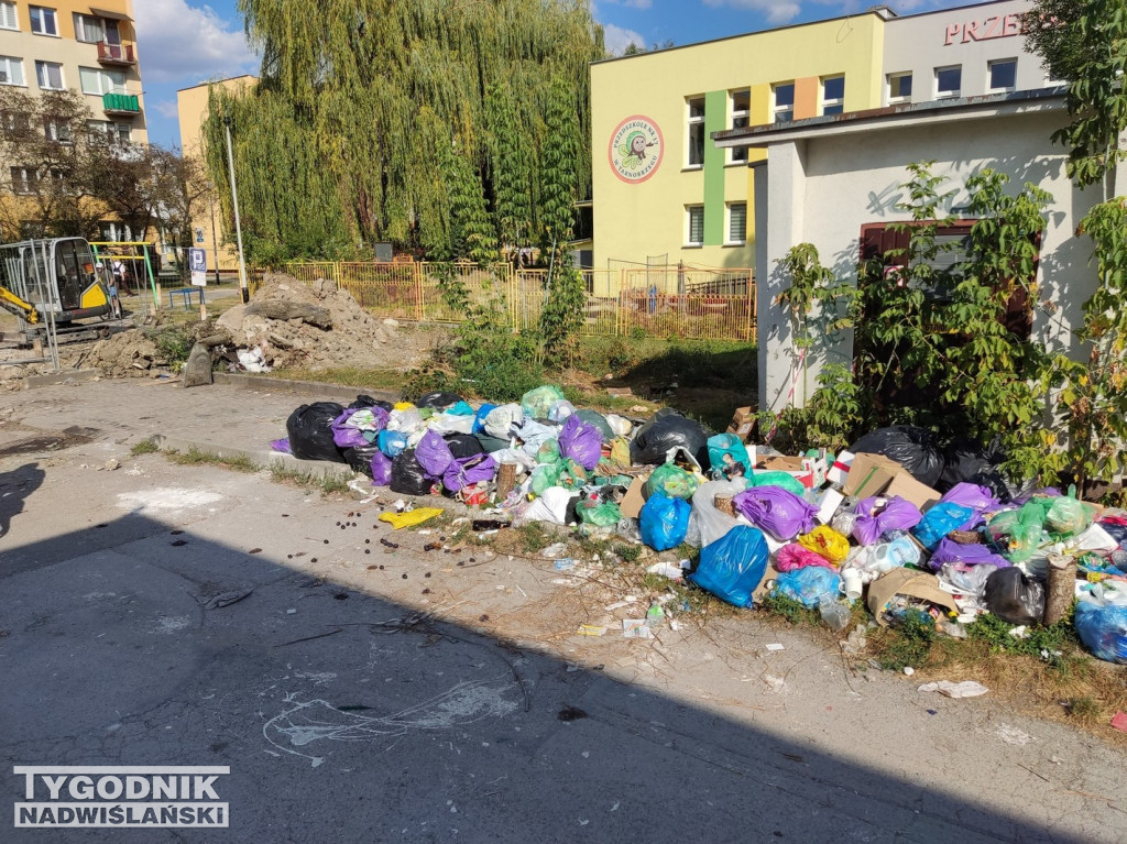 Śmietnisko przy przedszkolu w Tarnobrzegu