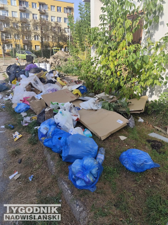 Śmietnisko przy przedszkolu w Tarnobrzegu