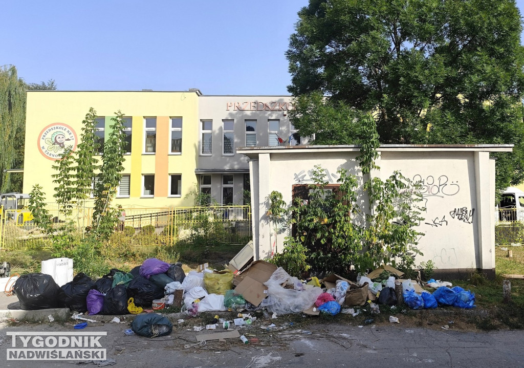 Śmietnisko przy przedszkolu w Tarnobrzegu