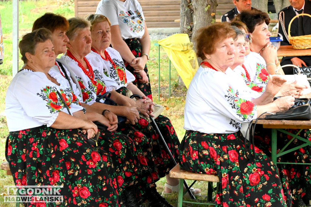 Uroczystości z okazji 100 lat OSP Wydrza