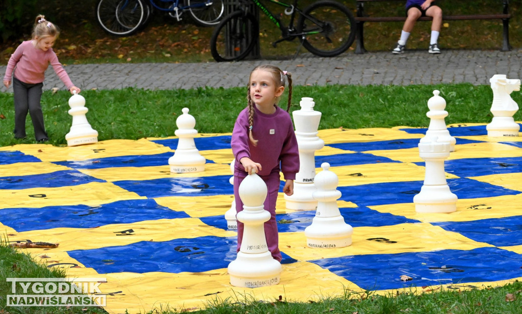 Taneczna sobota na tarnobrzeskim festiwalu