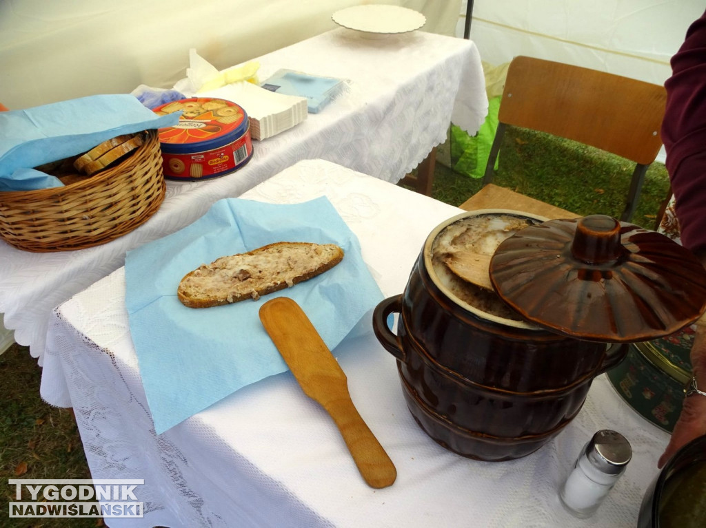 Piknik rodzinny u tarnobrzeskich Dominikanów