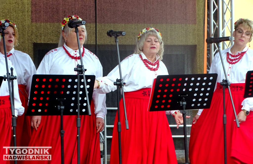 Piknik rodzinny u tarnobrzeskich Dominikanów