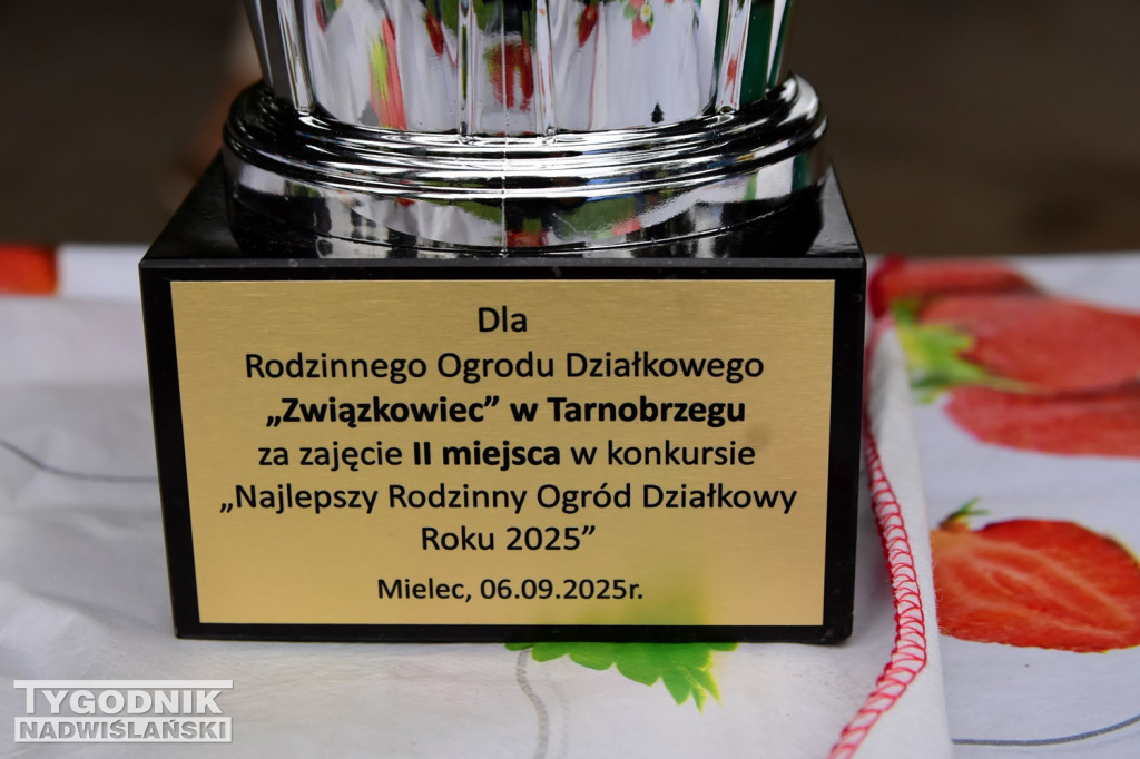 Dzień Działkowca w ROD Związkowiec w Tarnobrzegu