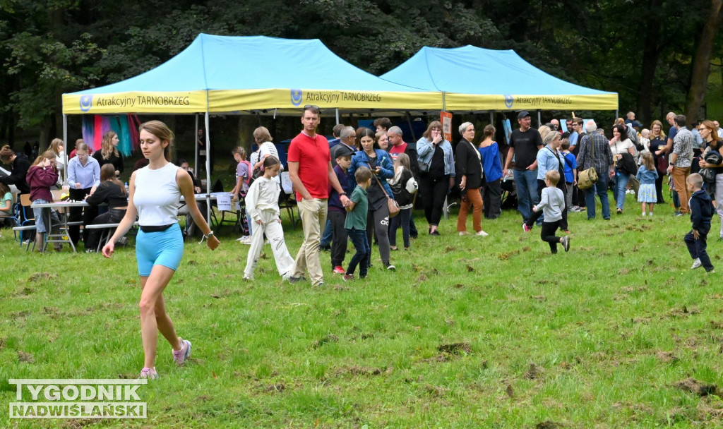 Kircholm za Zamkiem Tarnowskich w Tarnobrzegu