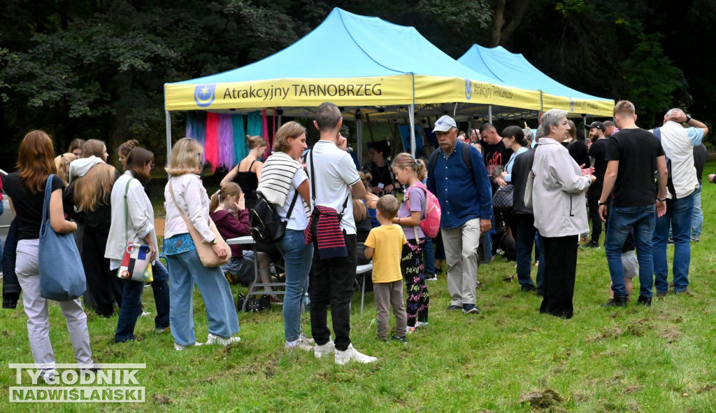 Kircholm za Zamkiem Tarnowskich w Tarnobrzegu