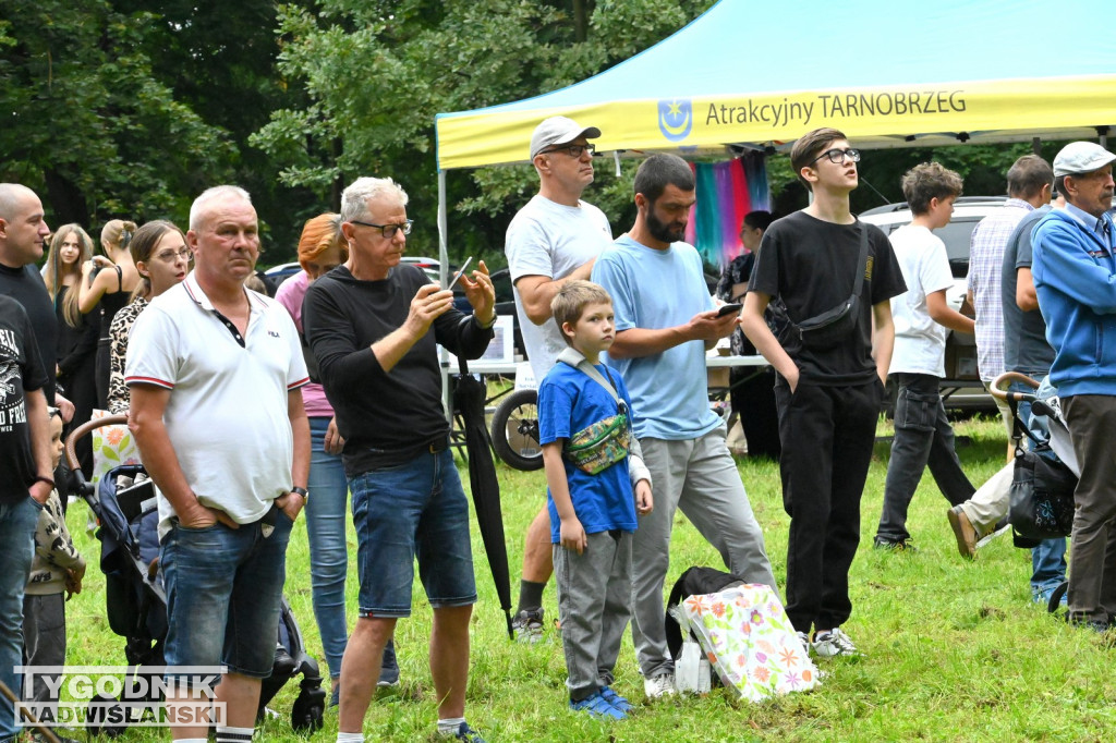 Kircholm za Zamkiem Tarnowskich w Tarnobrzegu