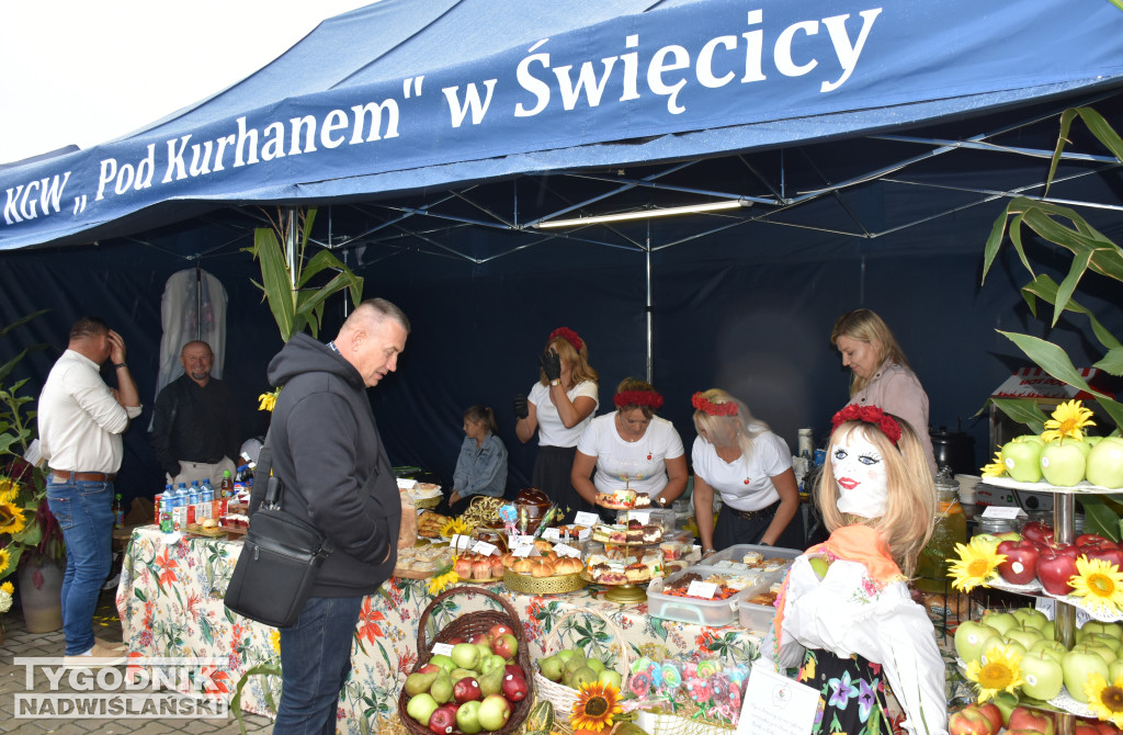 Europejskie Święto Jabłka 2025 w Obrazowie
