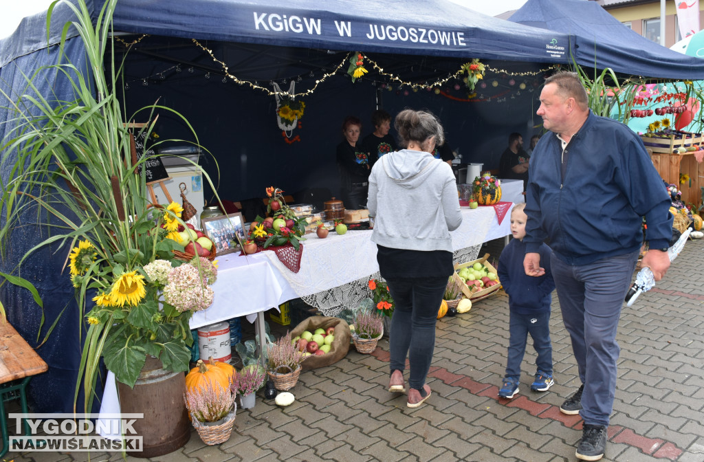 Europejskie Święto Jabłka 2025 w Obrazowie