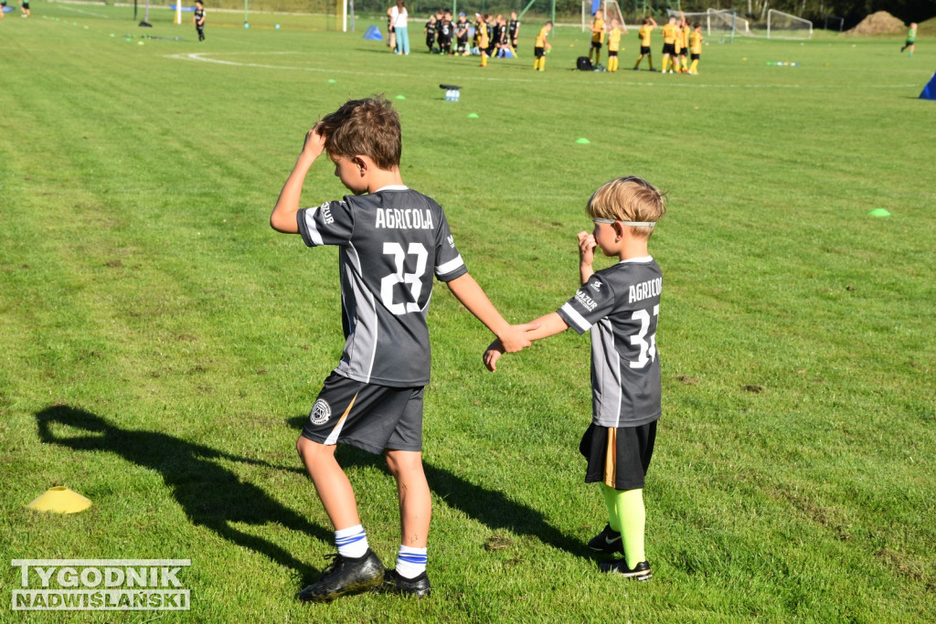 Turniej Enea Cup 2025