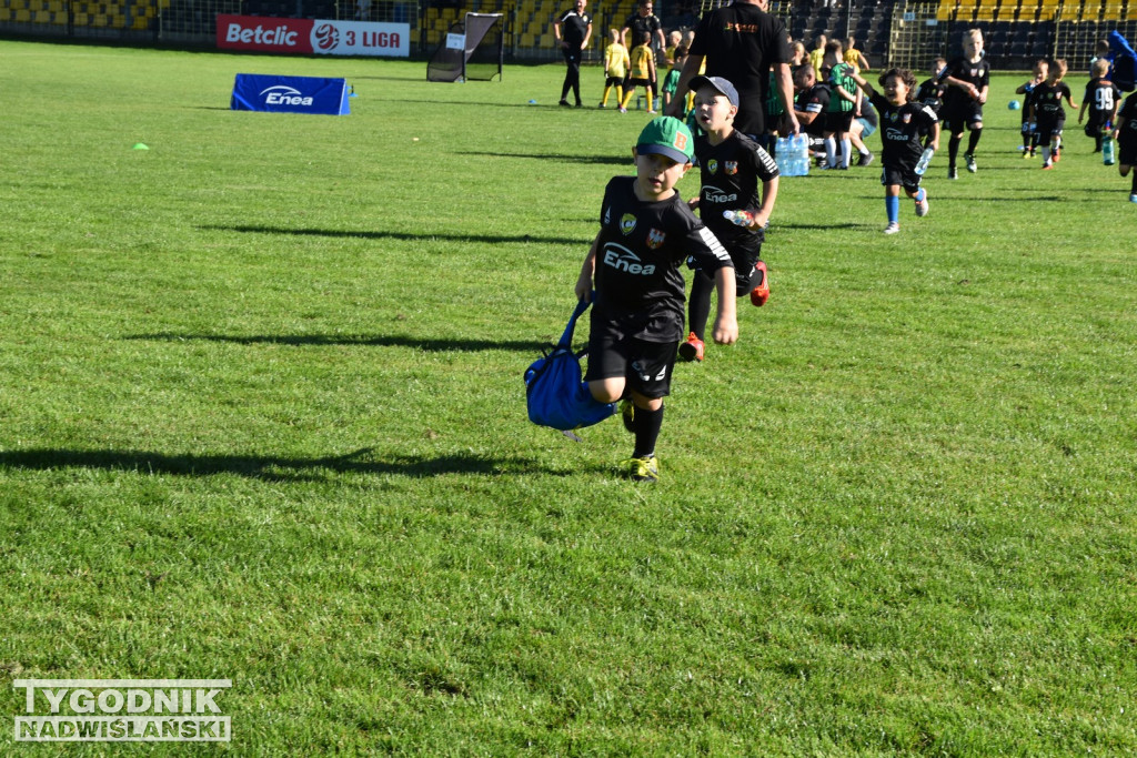 Turniej Enea Cup 2025
